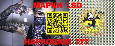 стафф Новокубанск
