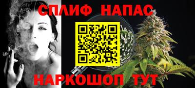 стафф Новокубанск