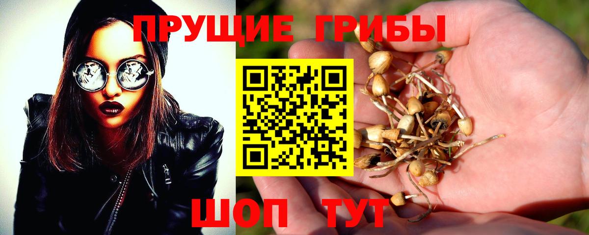 Псилоцибиновые грибы Magic Shrooms  Галлюциногенные грибы GOLDEN TEACHER  Сибай  Вход с VPN 